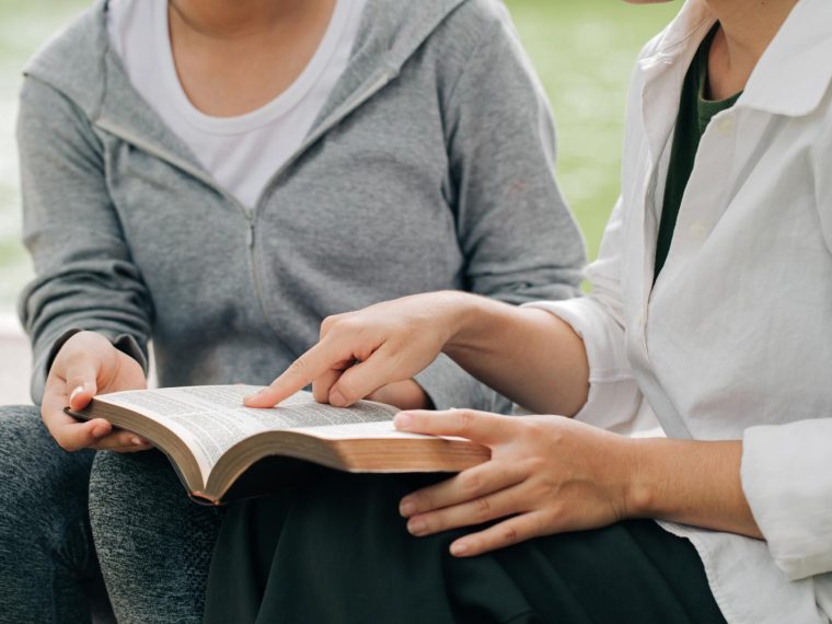 Scuole paritarie a Lamezia Terme